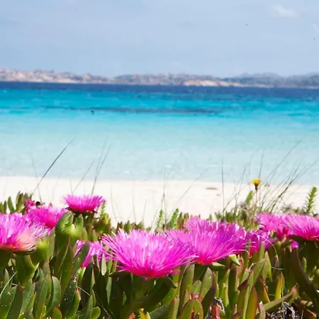 Apartmán Leone Flat I 15' Palau, 30' Porto Cervo & Free Parking Porto Pozzo